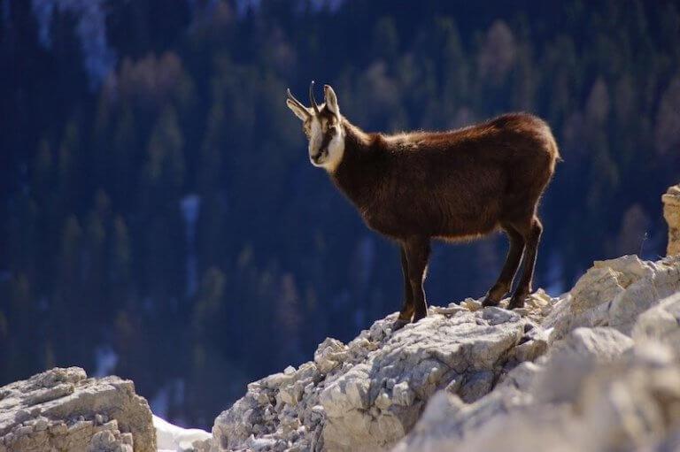 Apartaments Sort Pirineus المظهر الخارجي الصورة
