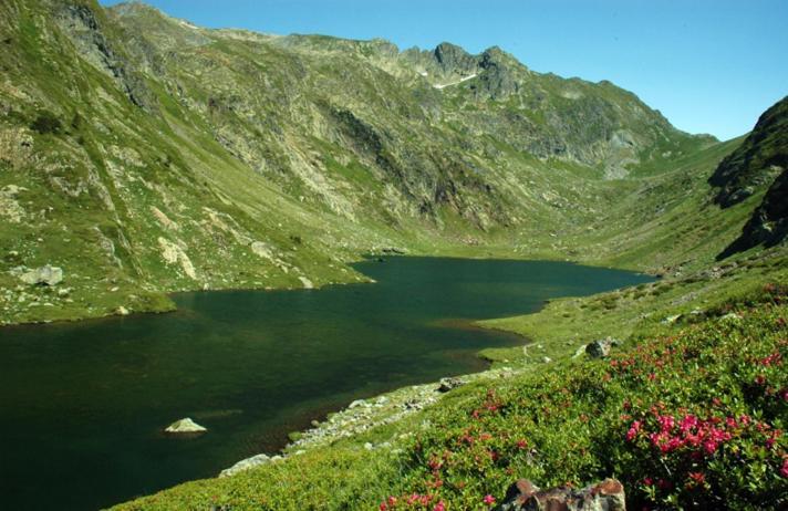 Apartaments Sort Pirineus المظهر الخارجي الصورة