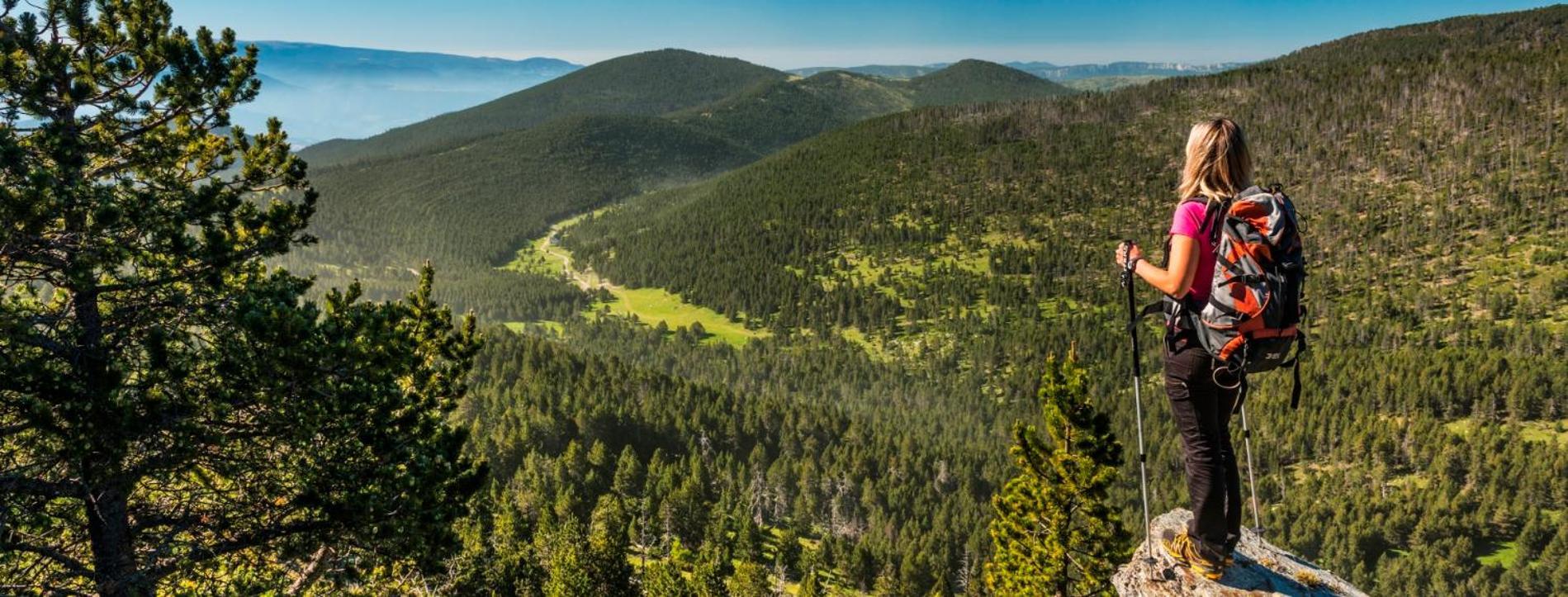 Apartaments Sort Pirineus المظهر الخارجي الصورة