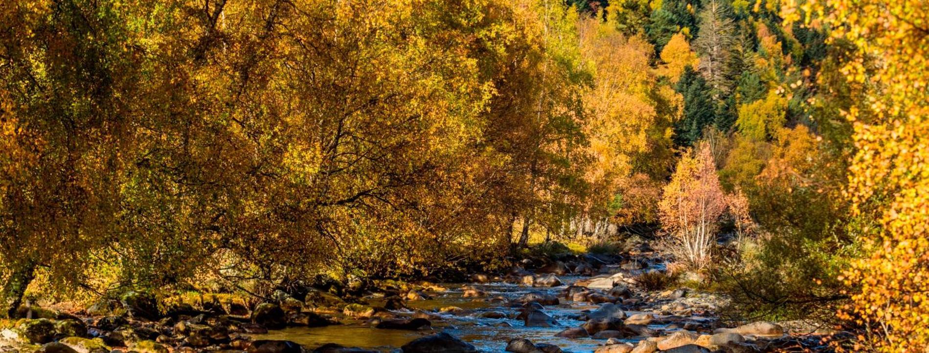 Apartaments Sort Pirineus المظهر الخارجي الصورة