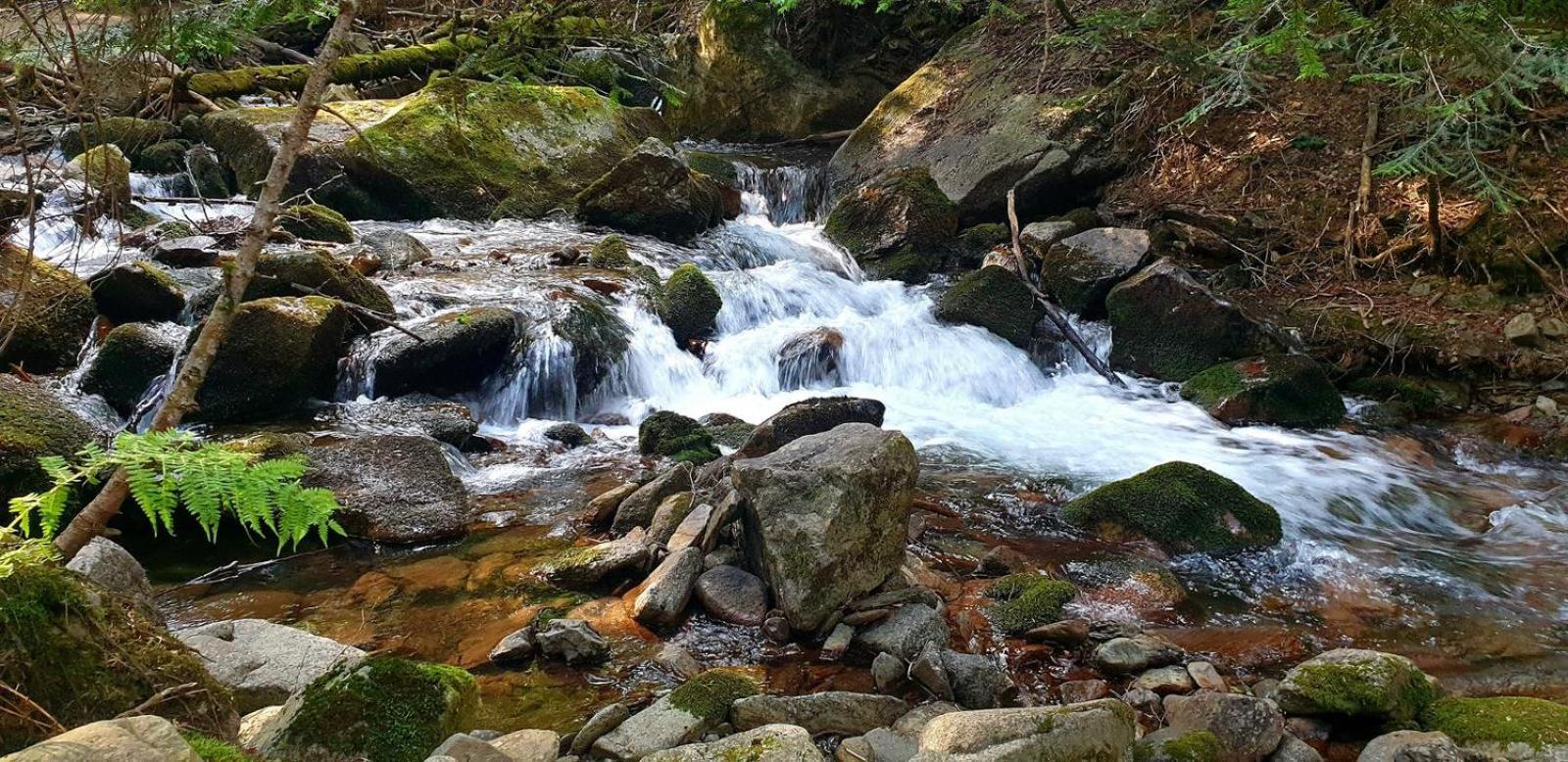Apartaments Sort Pirineus المظهر الخارجي الصورة
